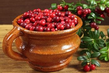 ягоды для лечения брусника при цистите